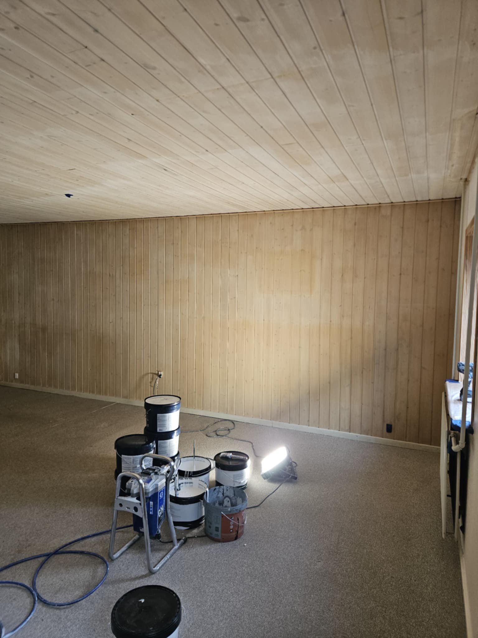 male af væg og loft